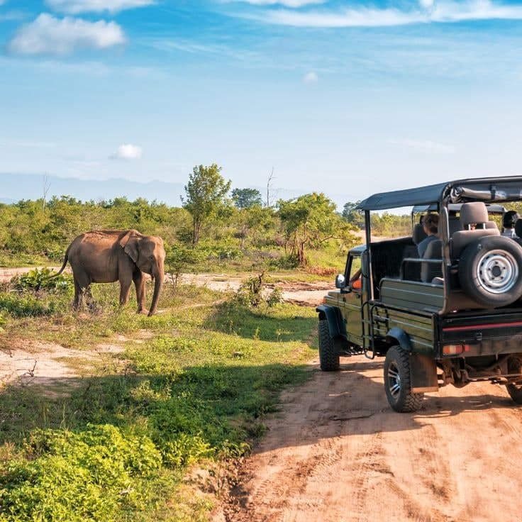 Yala National Park