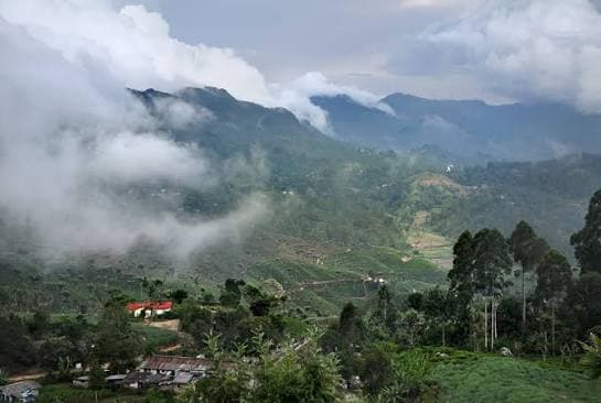 Haputale Tea Hills