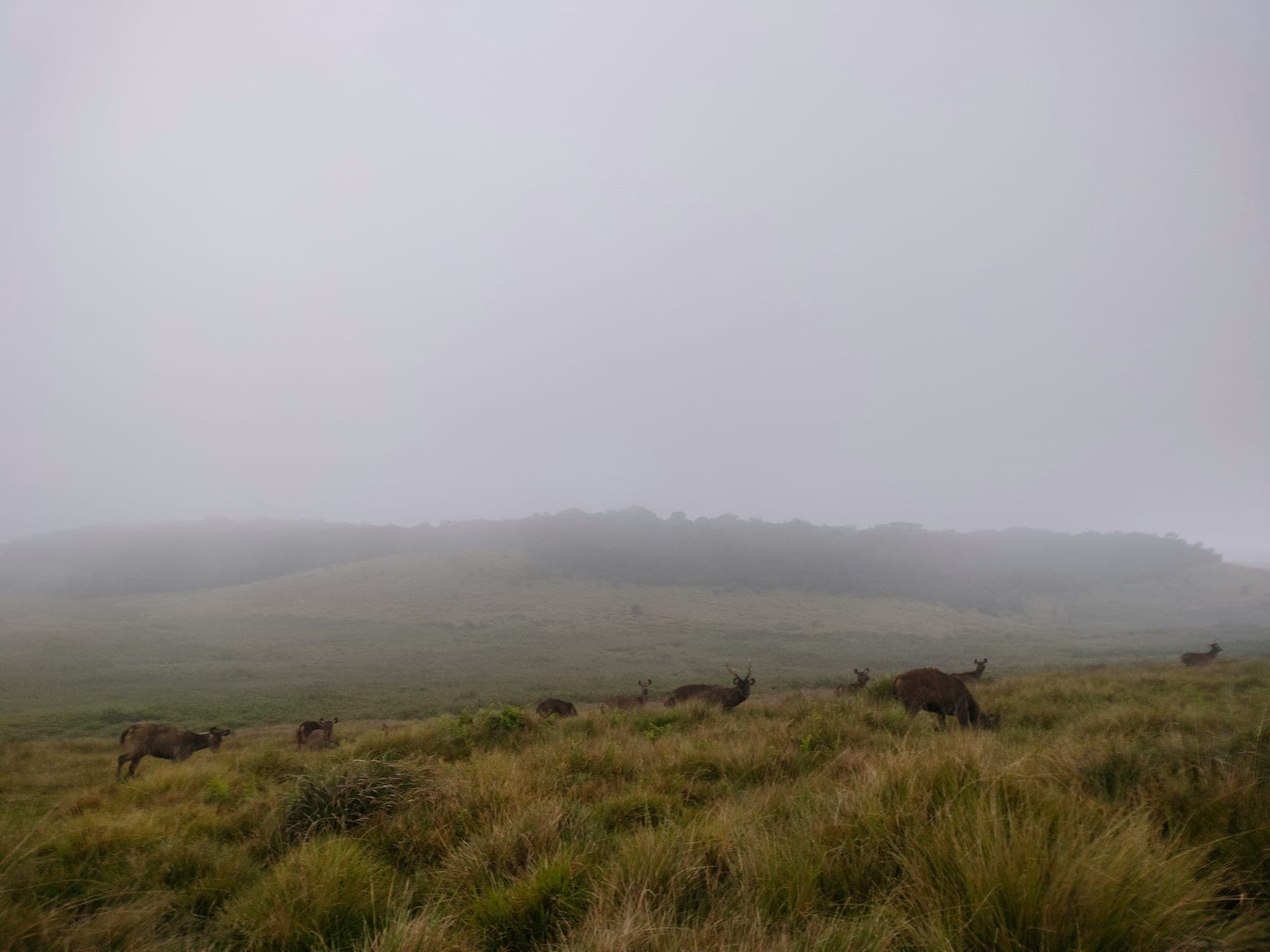 Horton Plains Photo 3