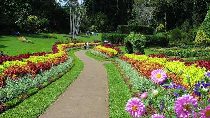 Peradeniya Royal Botanical Gardens