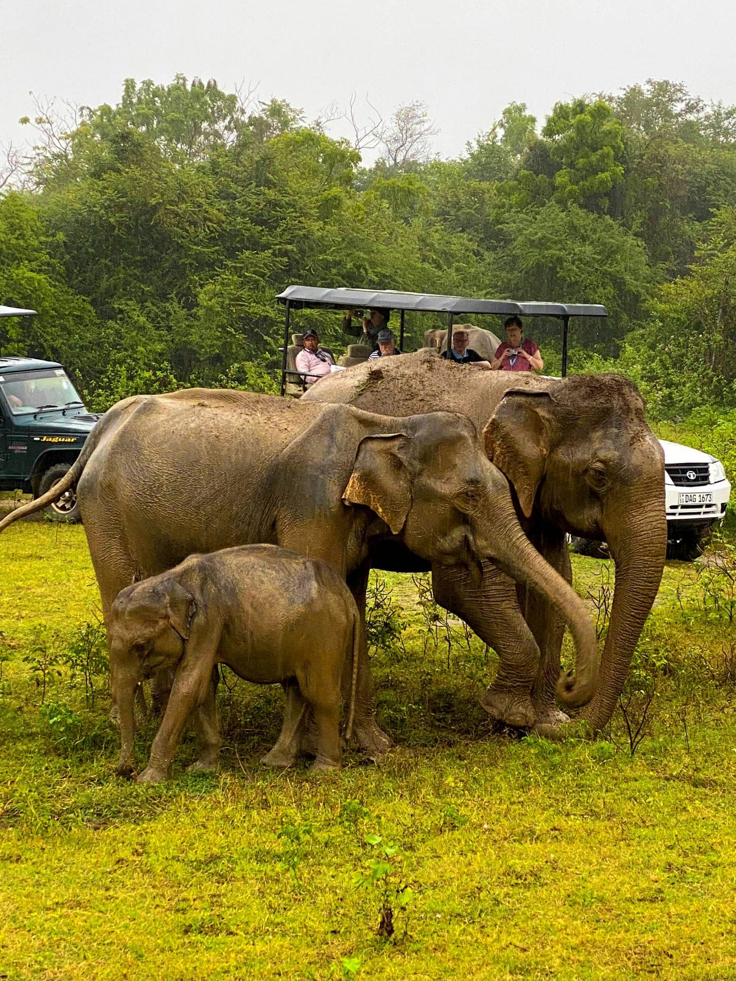 Udawalawe National Park Photo 4